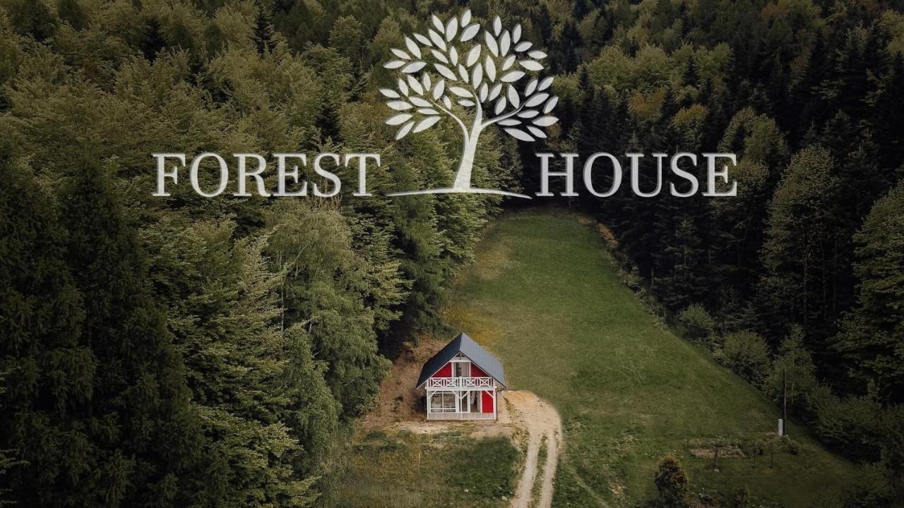 Forest House Targanice Exterior photo