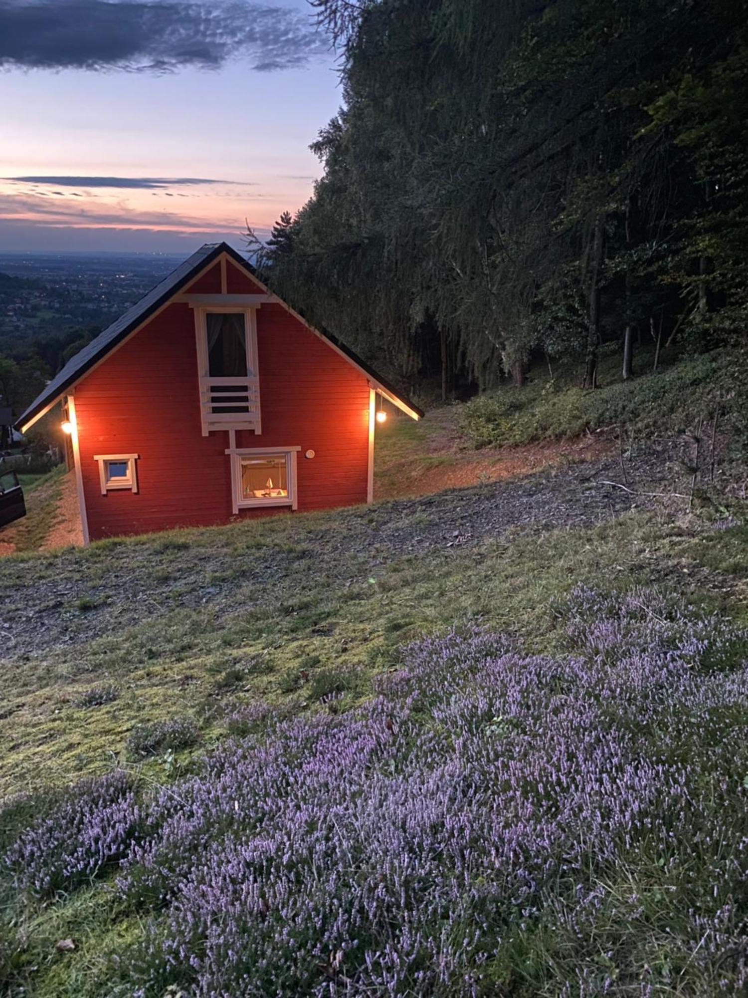 Forest House Targanice Exterior photo
